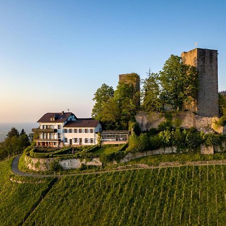 Hotel Burg Windeck ***S Bühl Exterior foto
